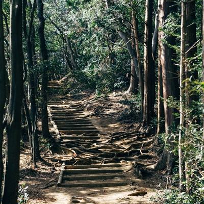 山海镜花taptap客户端下载